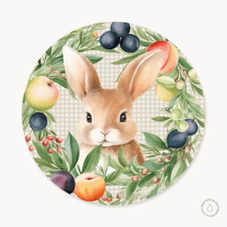 Funda de Bajaplatos Mr. Frutty Bunny