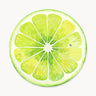 Lime Slice